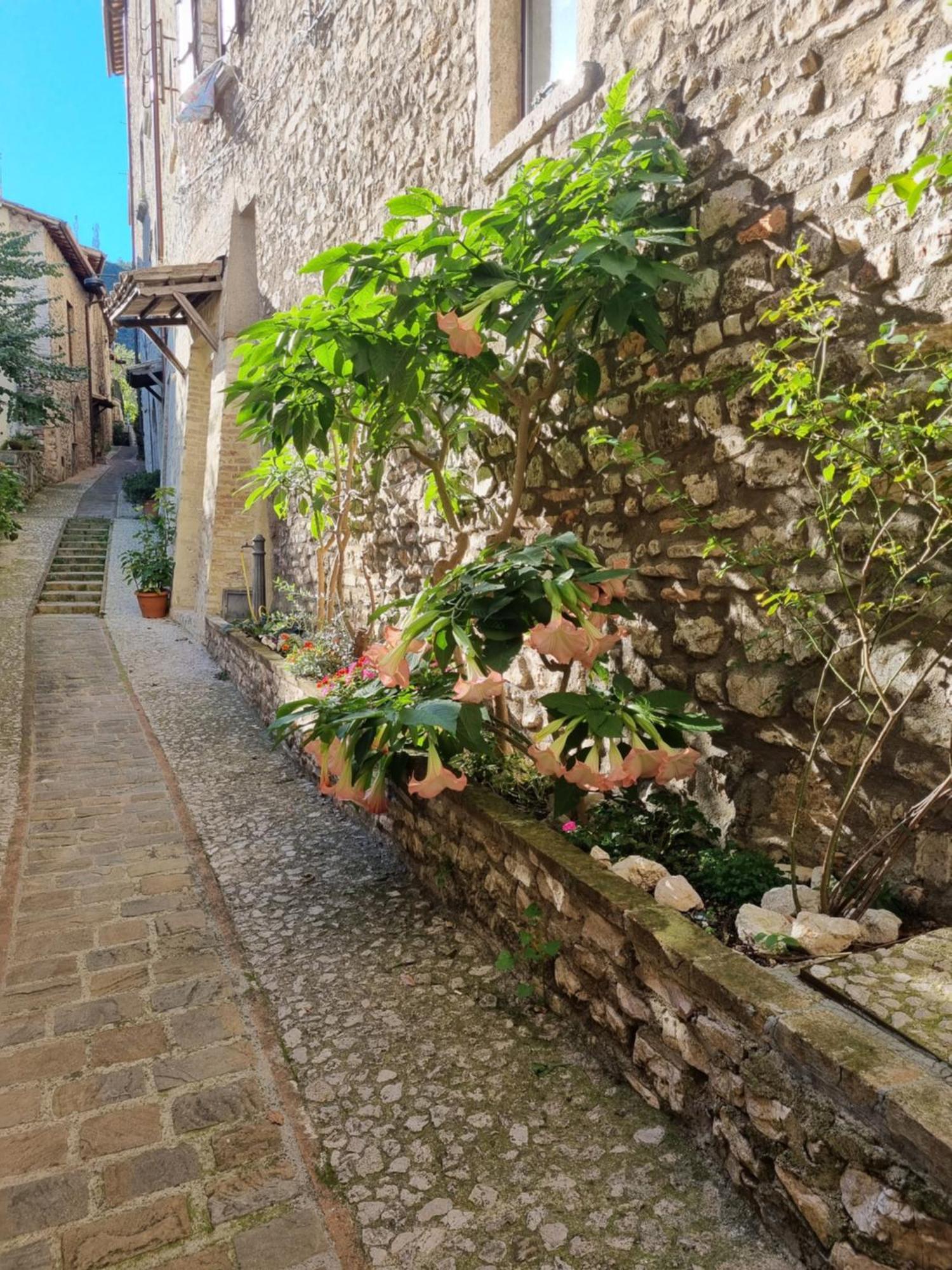 ארונה Cuore Del Castello מראה חיצוני תמונה